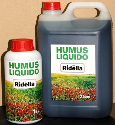 humus-ridella-2